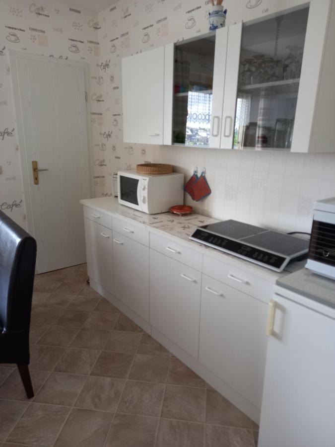 Rennsteigwohnung Rust Schmiedefeld am Rennsteig Bagian luar foto